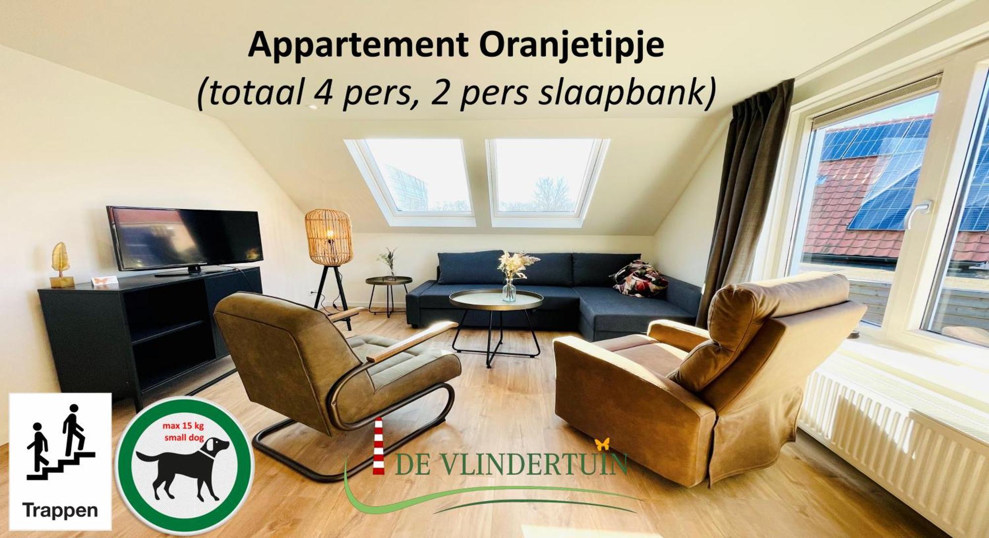 Апартаменты De Vlindertuin Нес Экстерьер фото